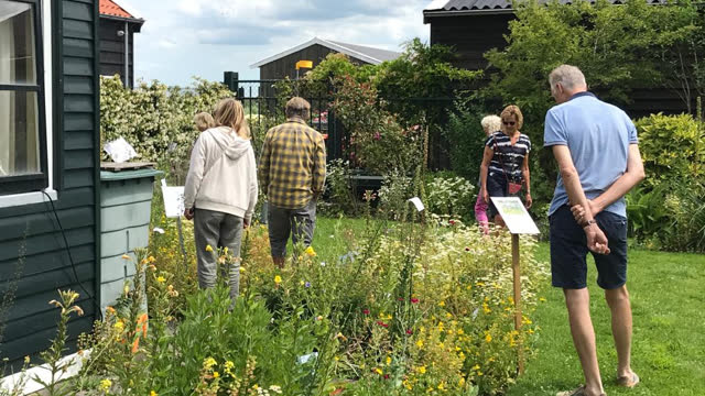 22-juni-tuin-marijke-vd-pol