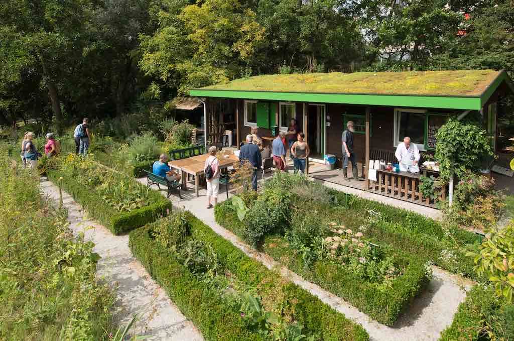 Overzichtsfoto-heemtuin.jpg 7 september 2024