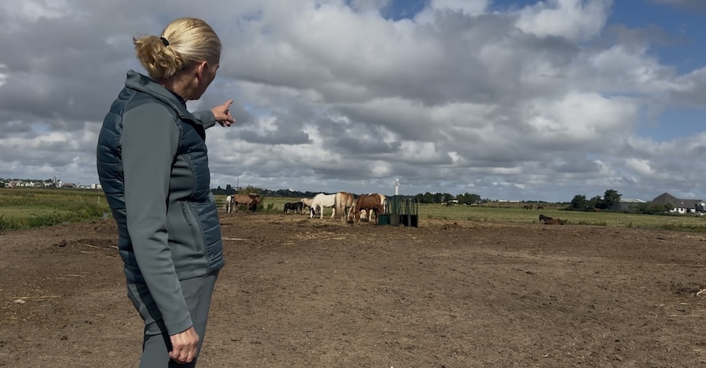 diana-Bentvelzen-manage-veldt-juli-2025