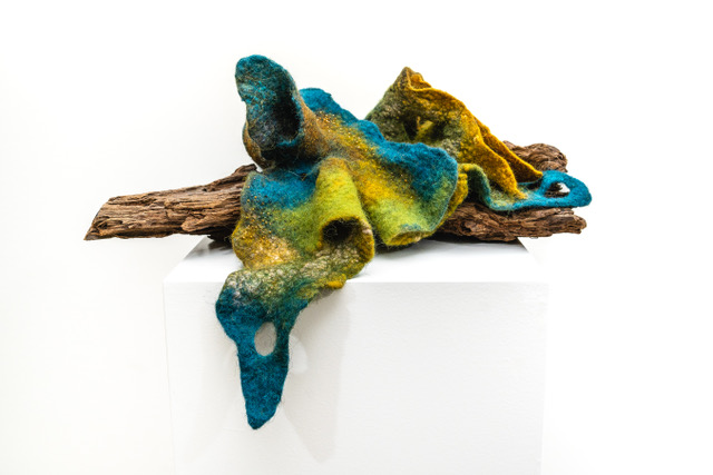 TX-Projects-expositie-Weefhuis-Symbiose1_Astrid-Oosterhuis